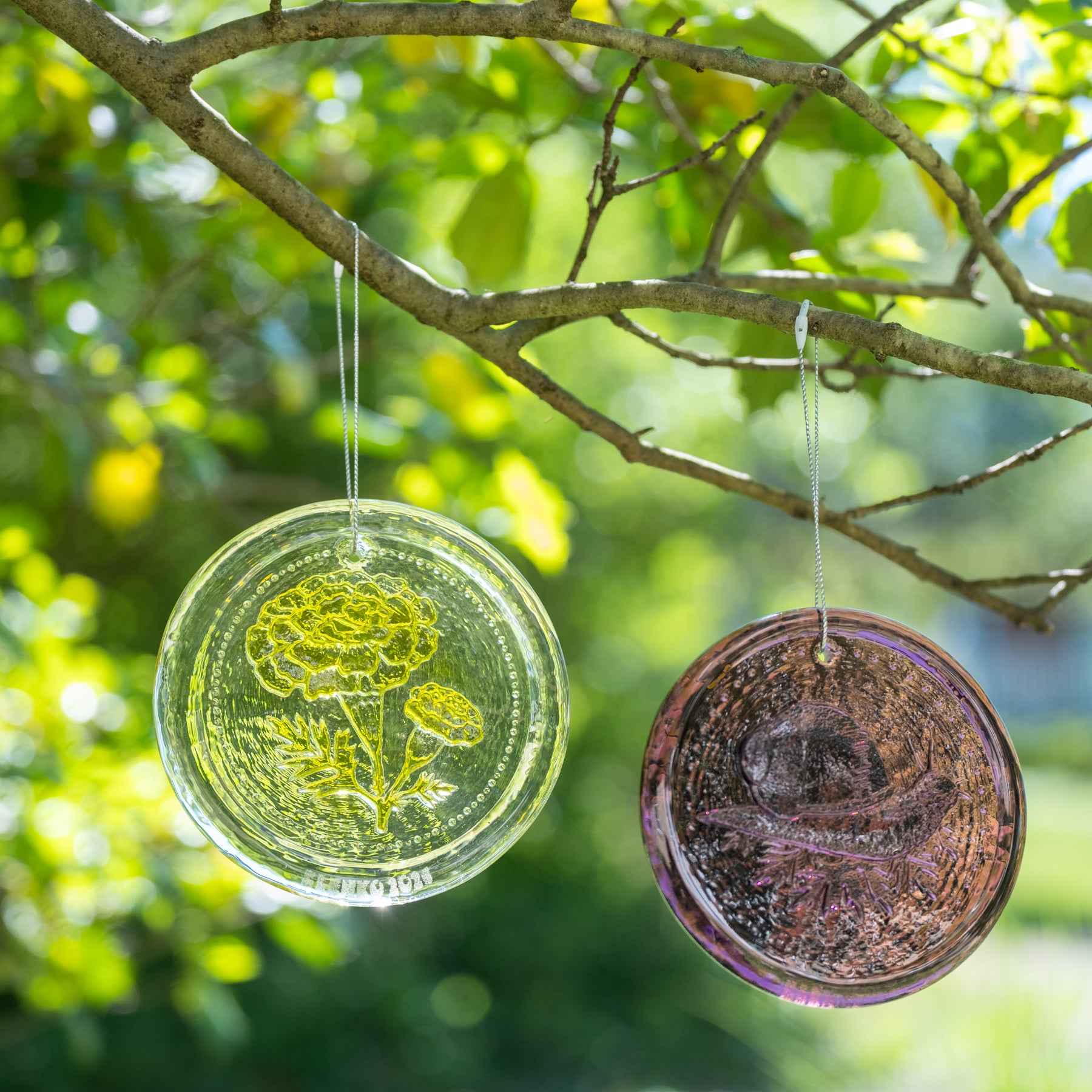 Two round decorative items hanging from a tree branch with a blurred green foliage background.