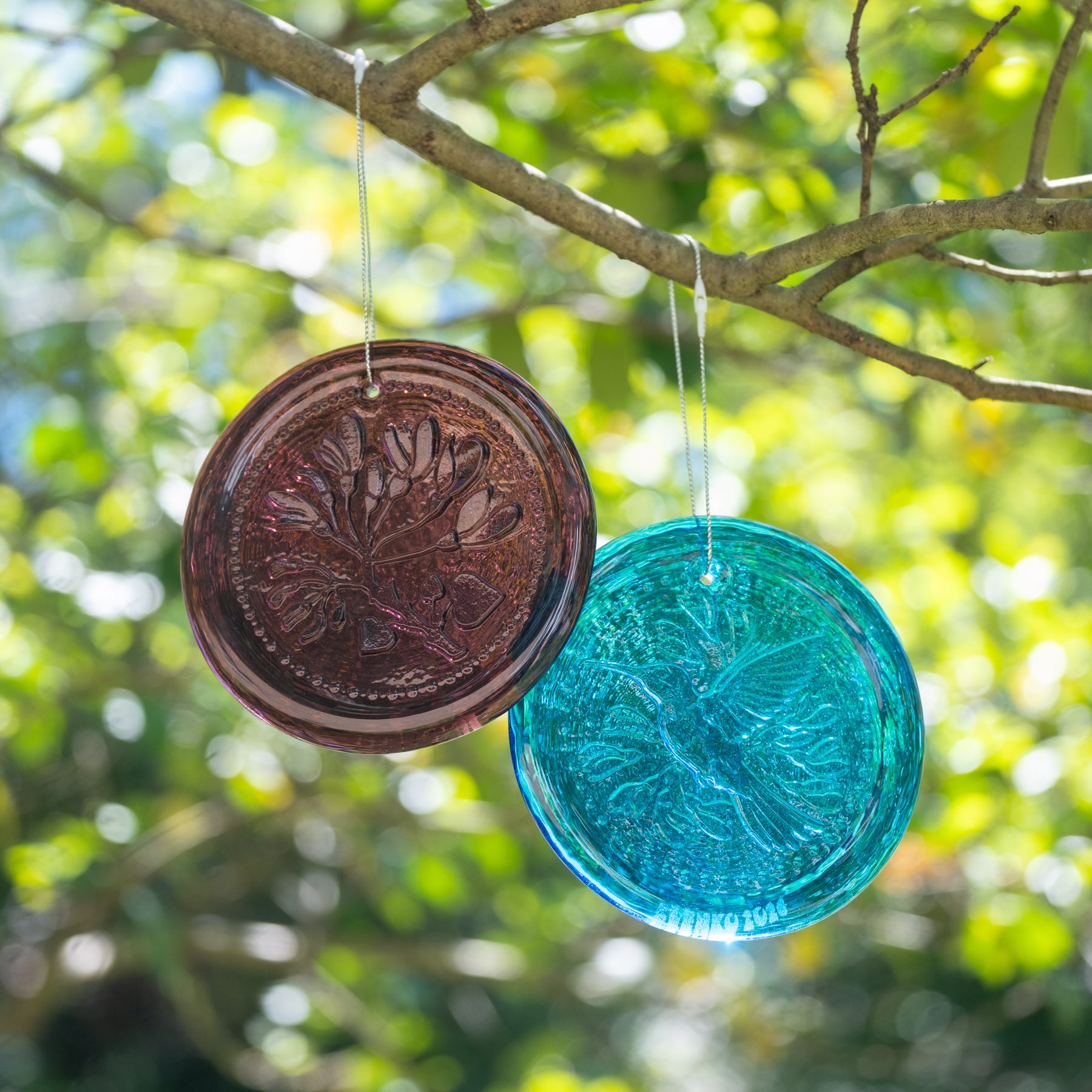 Two decorative glass discs, one brown and one blue, hanging from a tree branch with a blurred green foliage background.