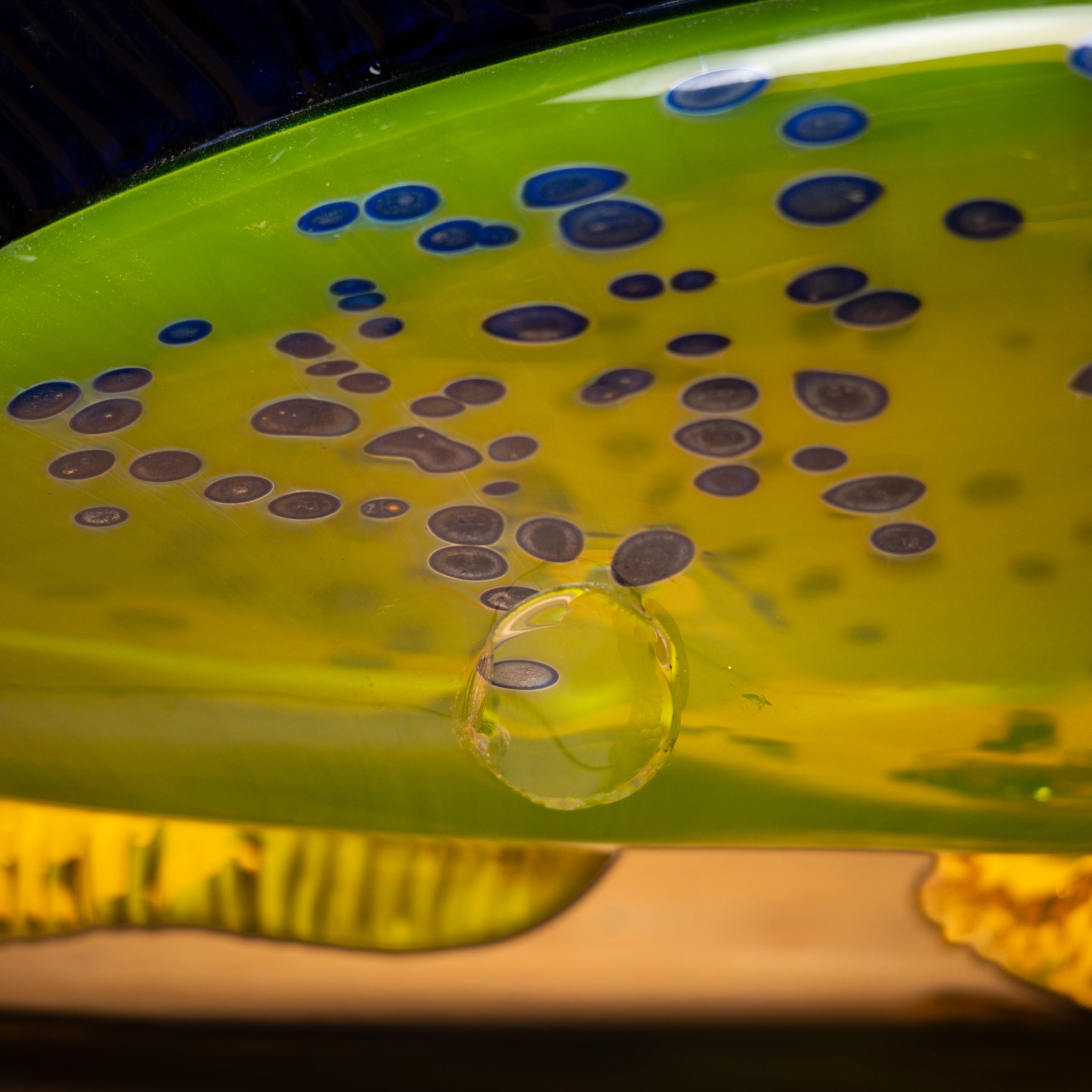 Yellow with blue and purple circular patterns on a wooden surface