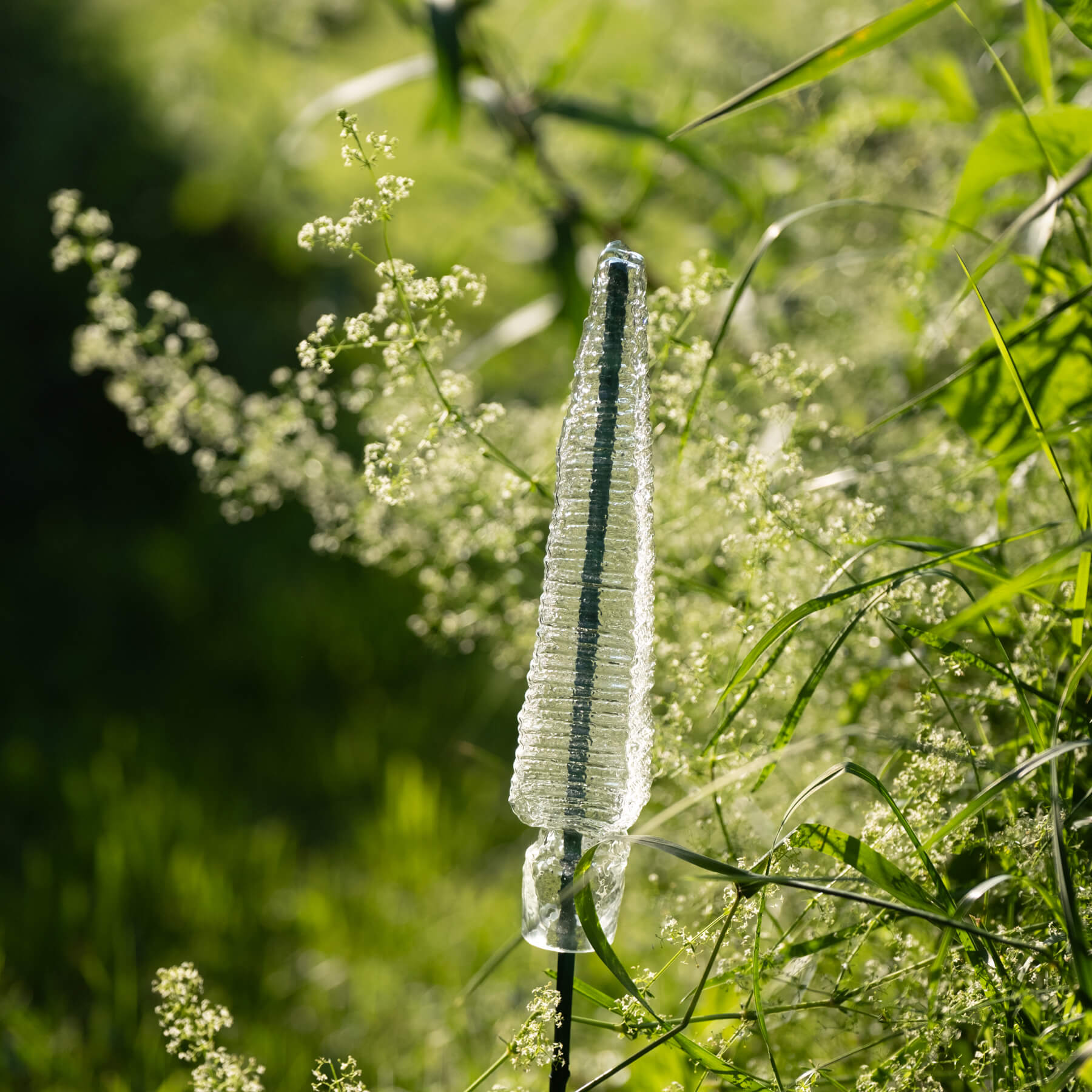 Crystal spear on a plant stem with greenery in the background