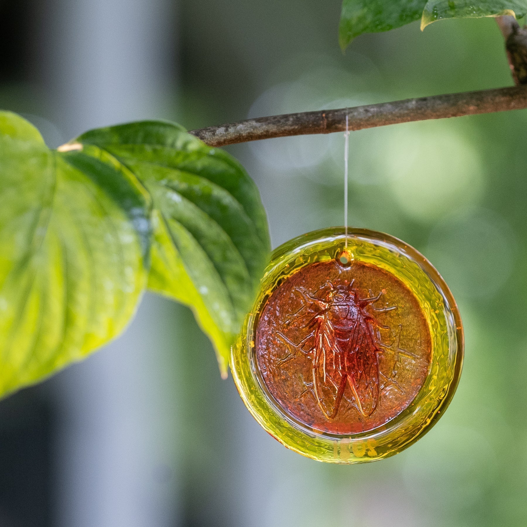 Brood X Cicada Suncatcher