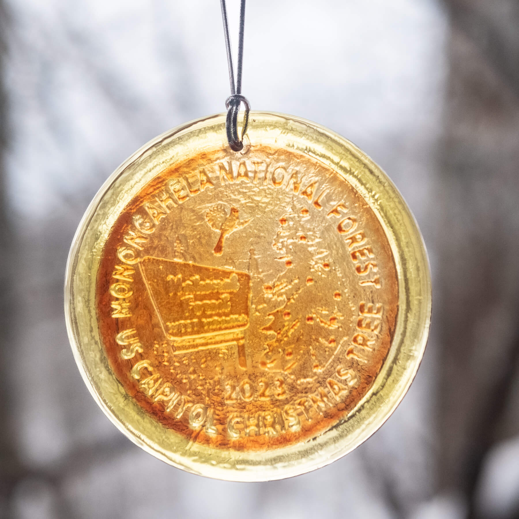 Monongahela National Forest Suncatcher - Tangerine - Second