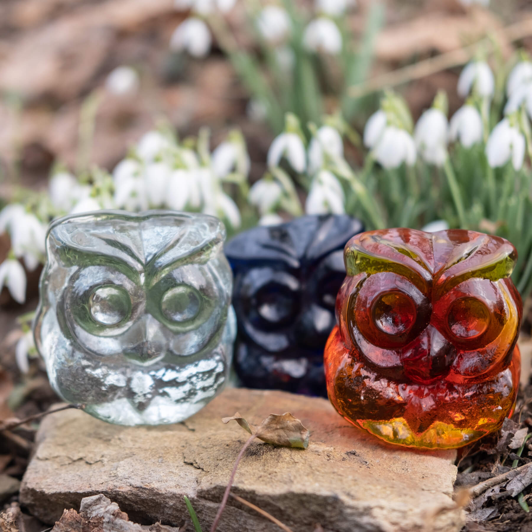 3 glass owl figurines on rock