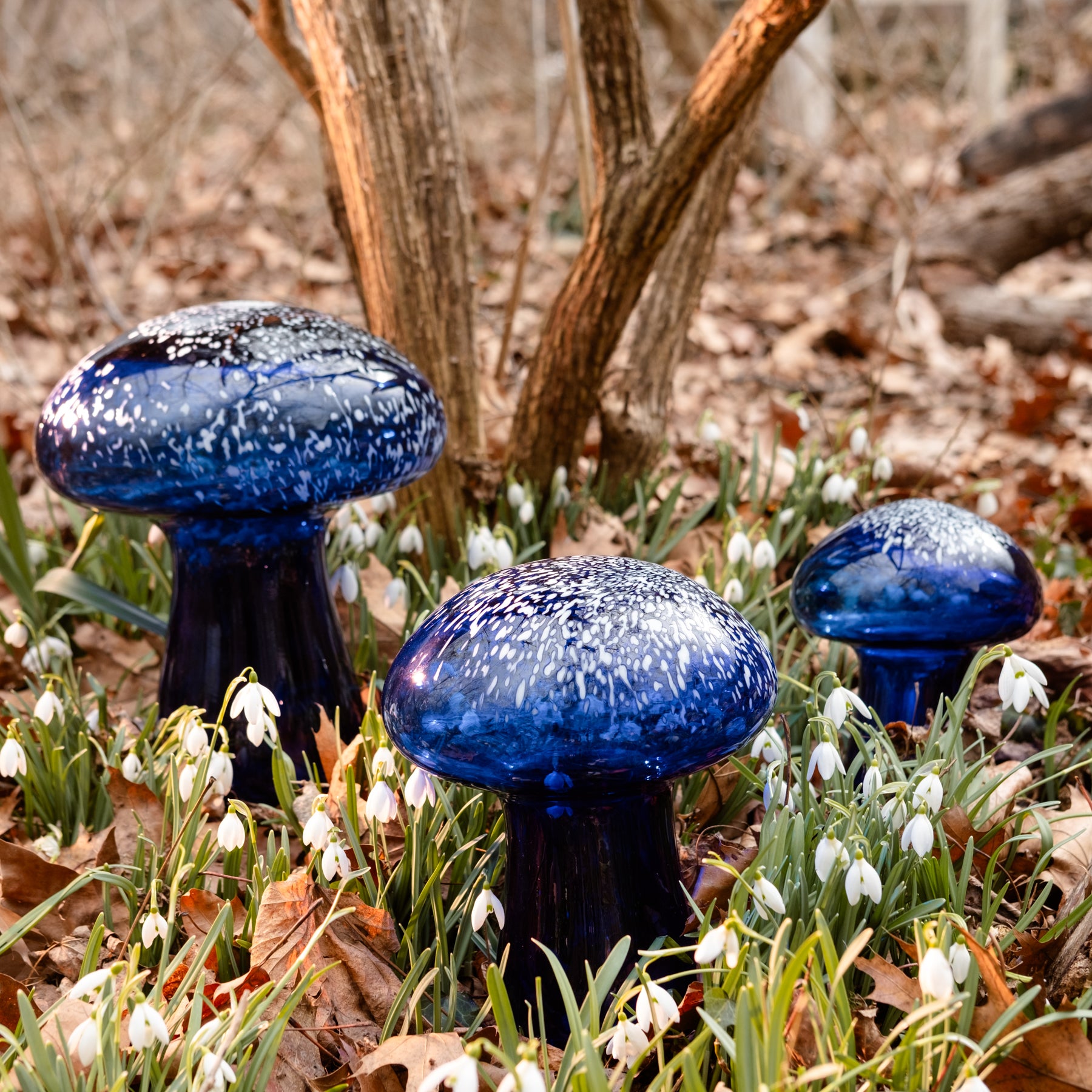 Cobalt Garden Mushroom Grouping