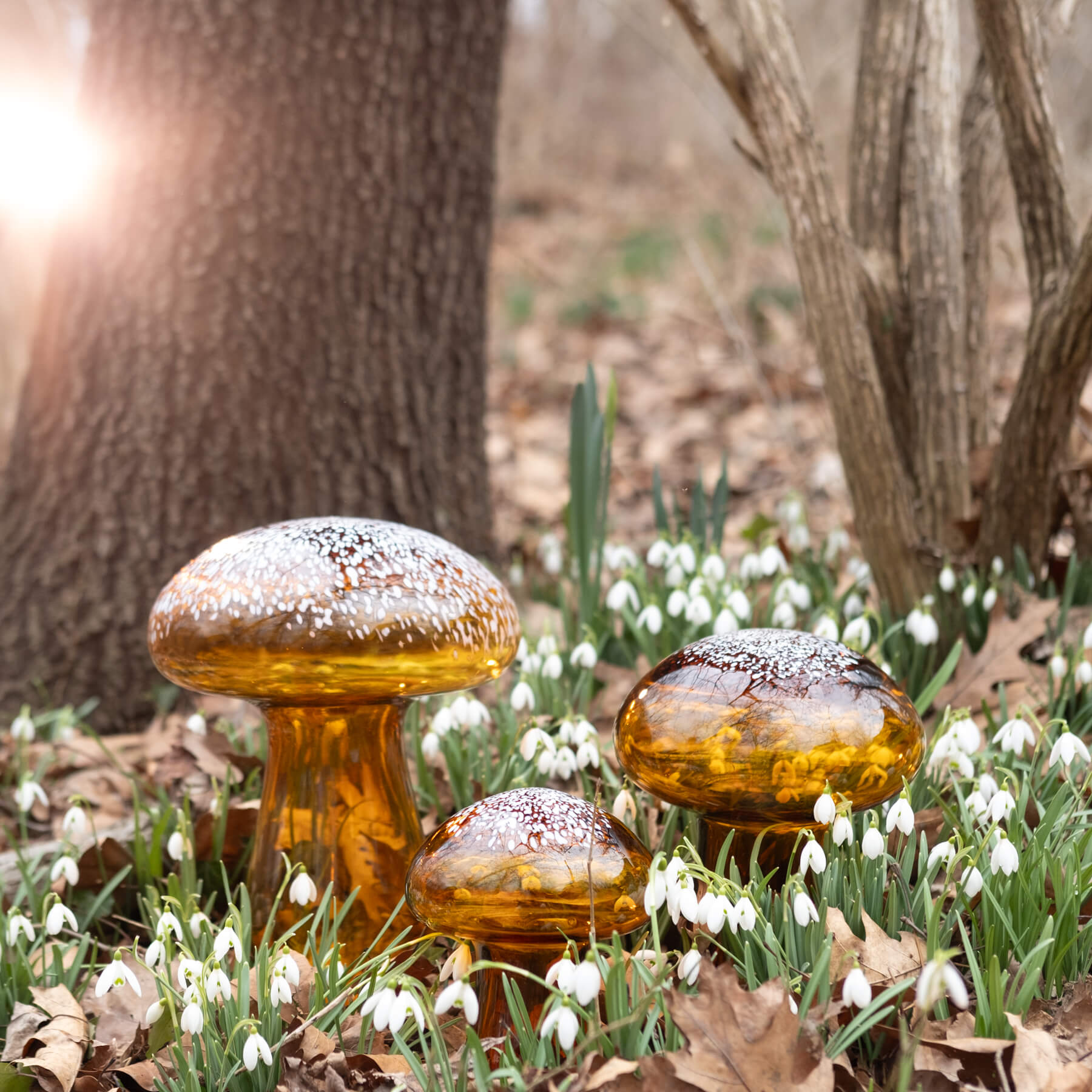 Topaz Garden Mushroom Grouping