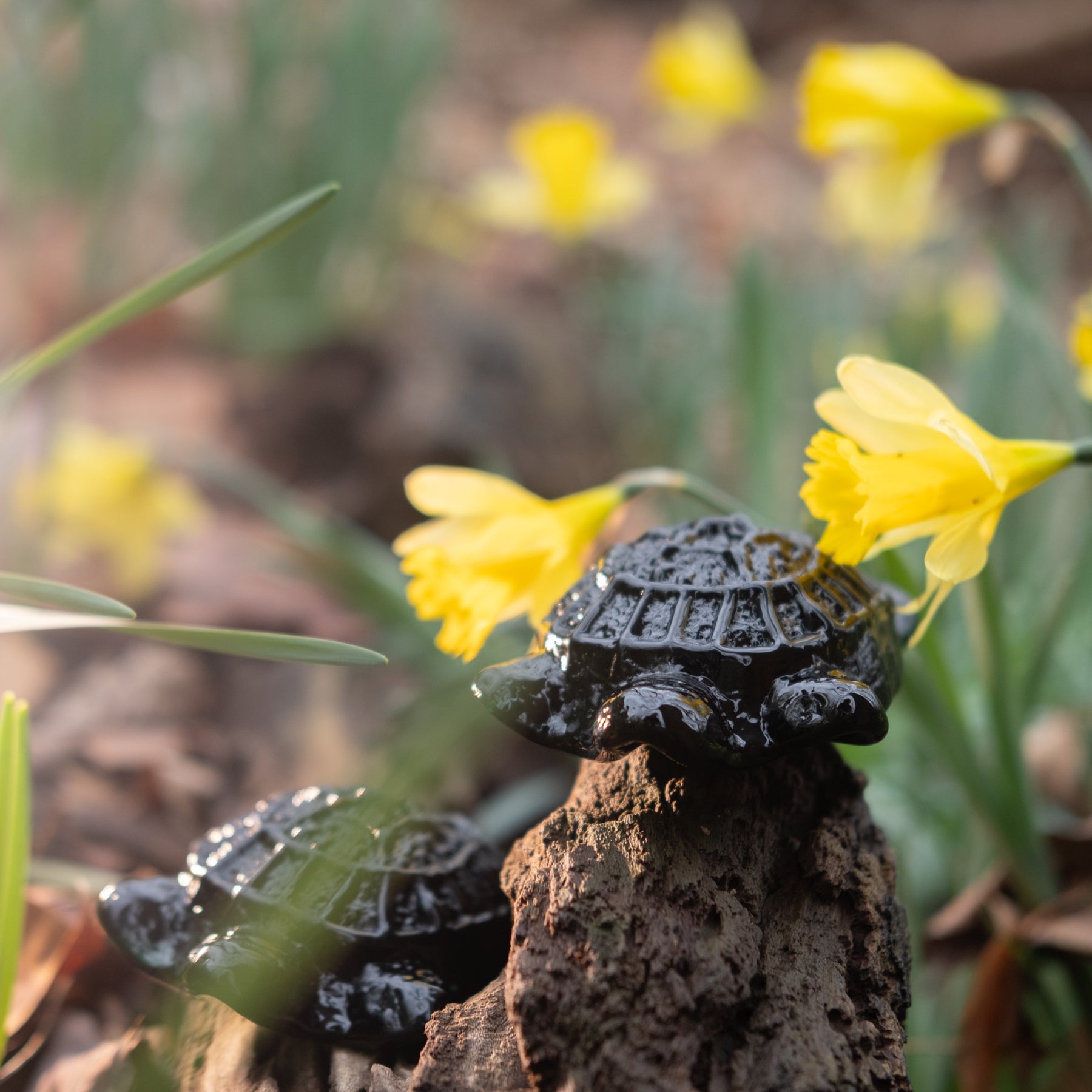 6402P Turtle Critter - Malachite