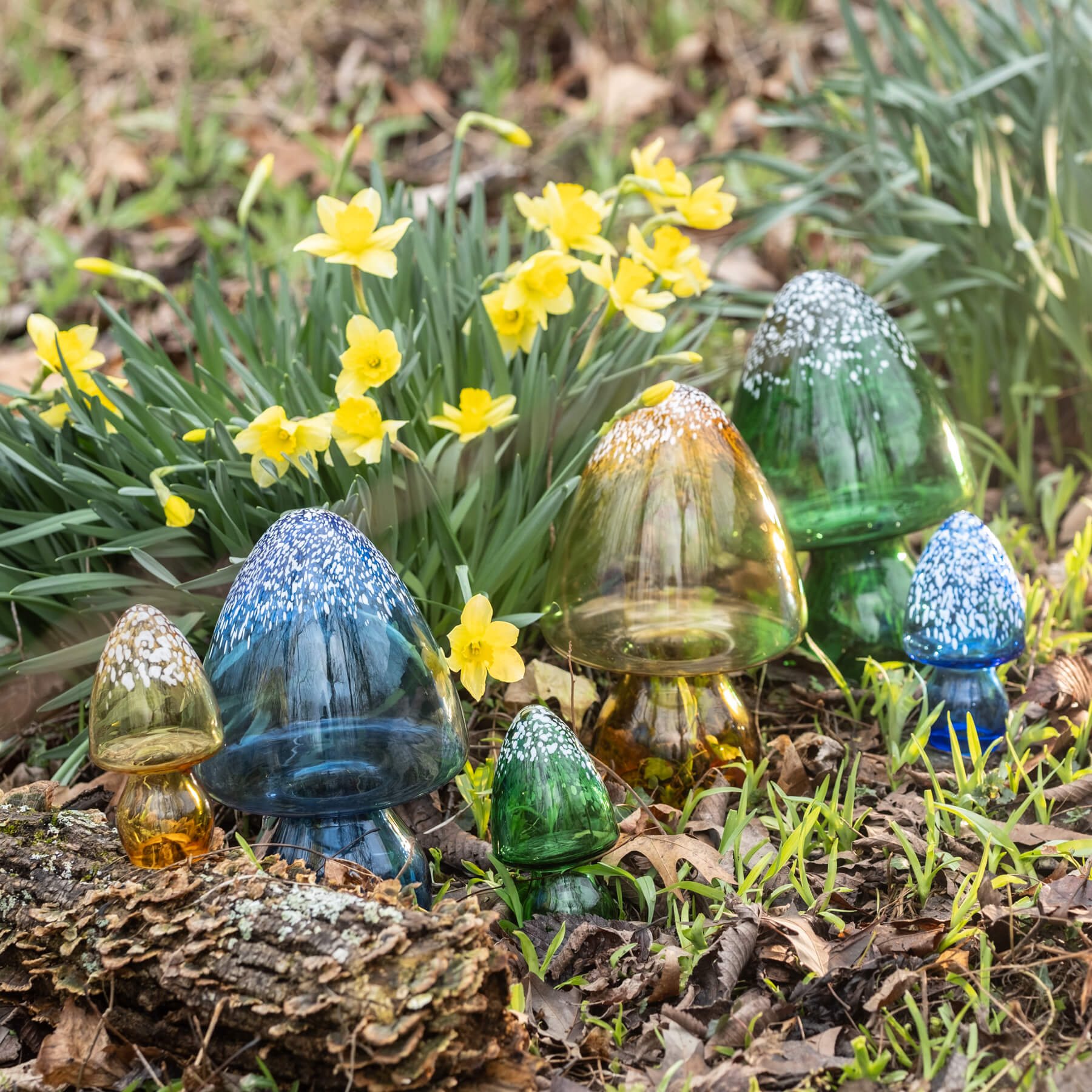 Tall Cap Mushroom Grouping