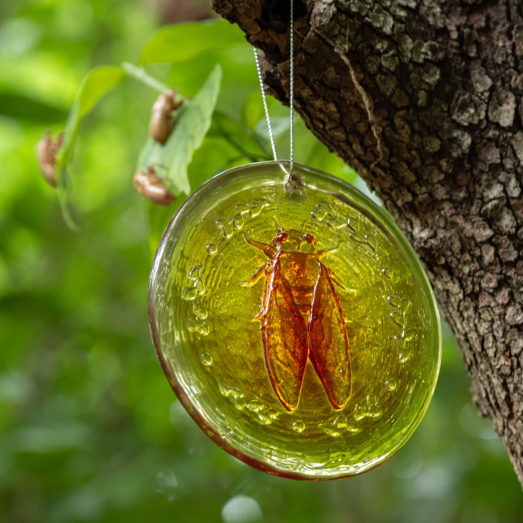 Blenko Cicada Suncatcher
