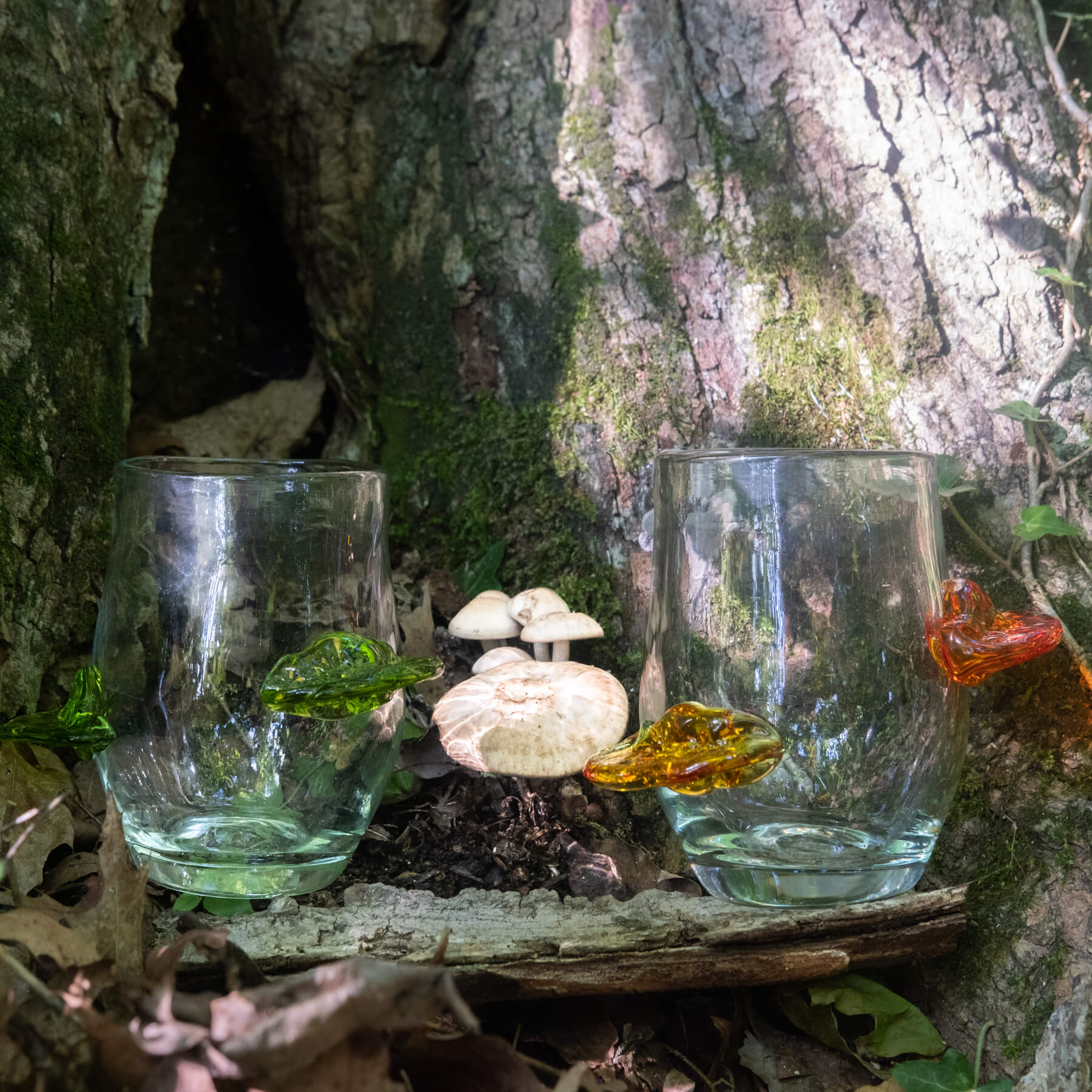 1723 Polypore Tumbler - Crystal with Olive