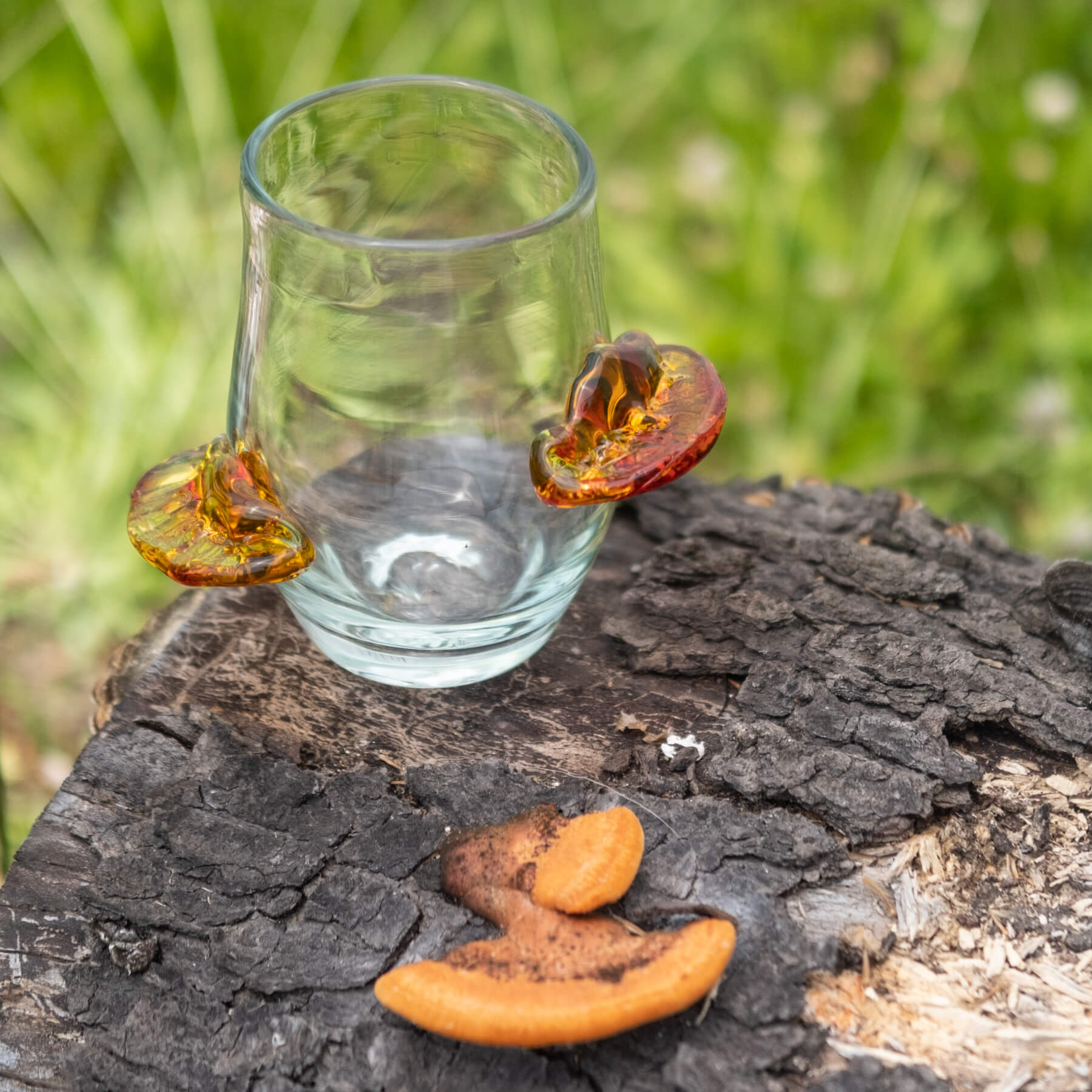 1723 Polypore Tumbler - Crystal with Tangerine