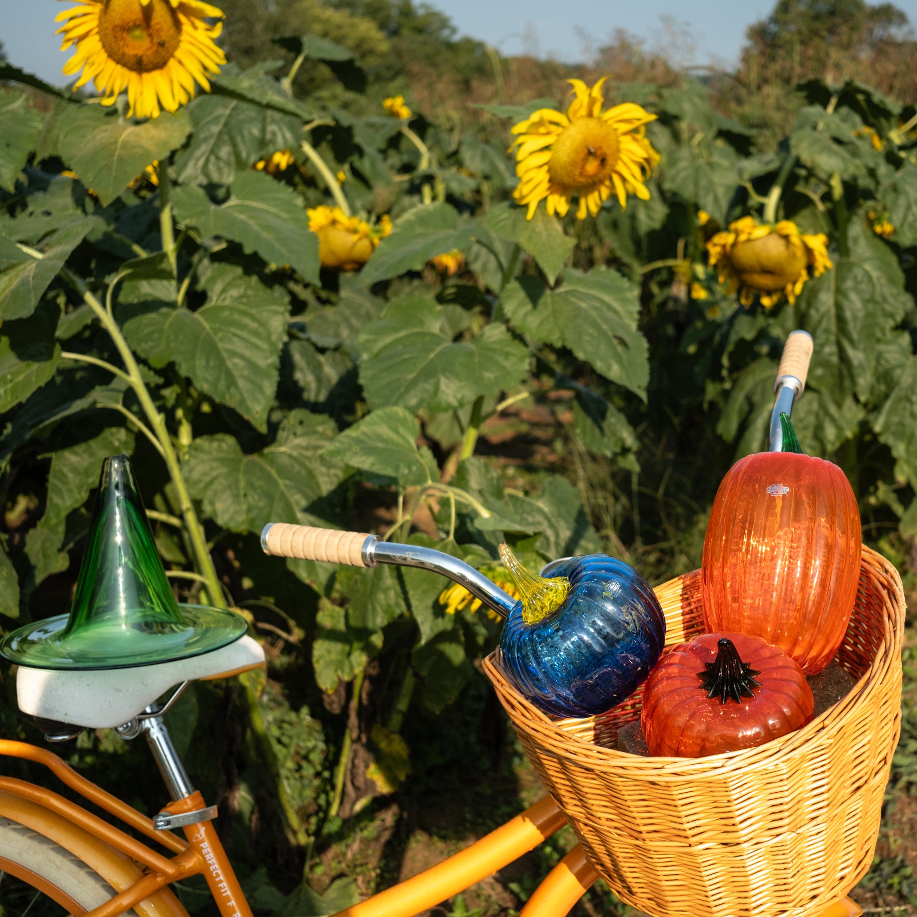 A yellow-orange bicycle in a sunflower field, with a wicker basket holding three decorative glass pumpkins in blue, orange, and red.