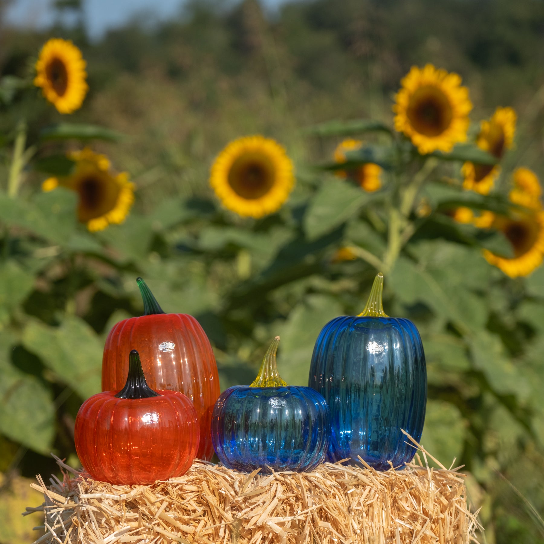 Three ribbed glass pumpkins in red, blue, and cobalt blue, arranged on a hay bale with a blurred background of sunflowers and green foliage.