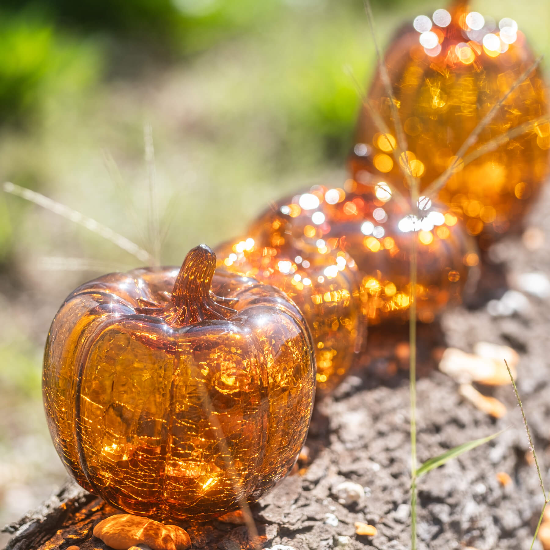 C6618T Tall Crackle Pumpkin - Topaz