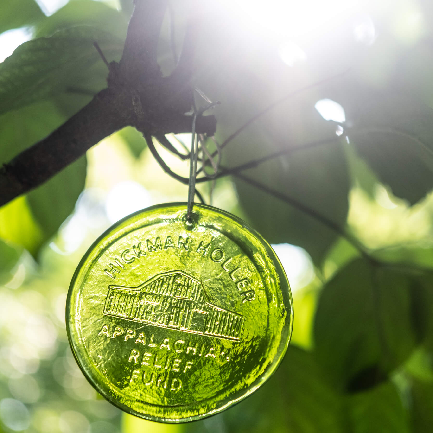 Hickman Holler Appalachian Relief Fund Suncatcher - Olive
