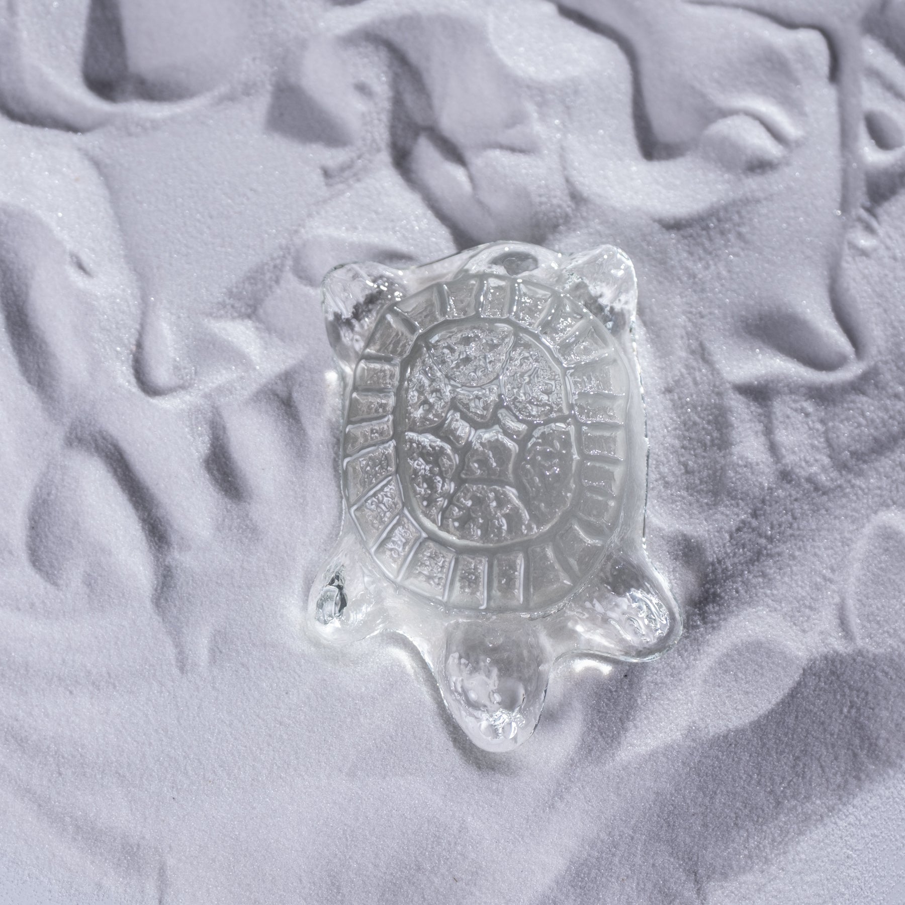 A clear, transparent turtle-shaped decorative object or pendant with an embossed circular emblem, resting on a textured light gray surface.